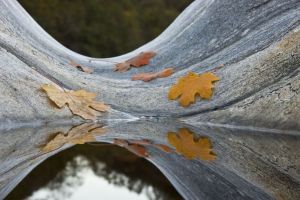 Palliative Care Motivbild